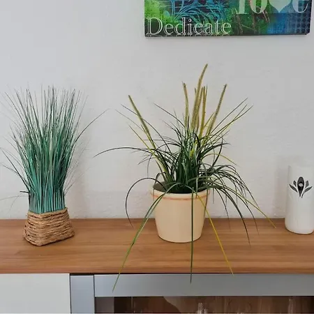 Wohnung Am Waldrand Am Tanneneck Plettenberg Extérieur photo